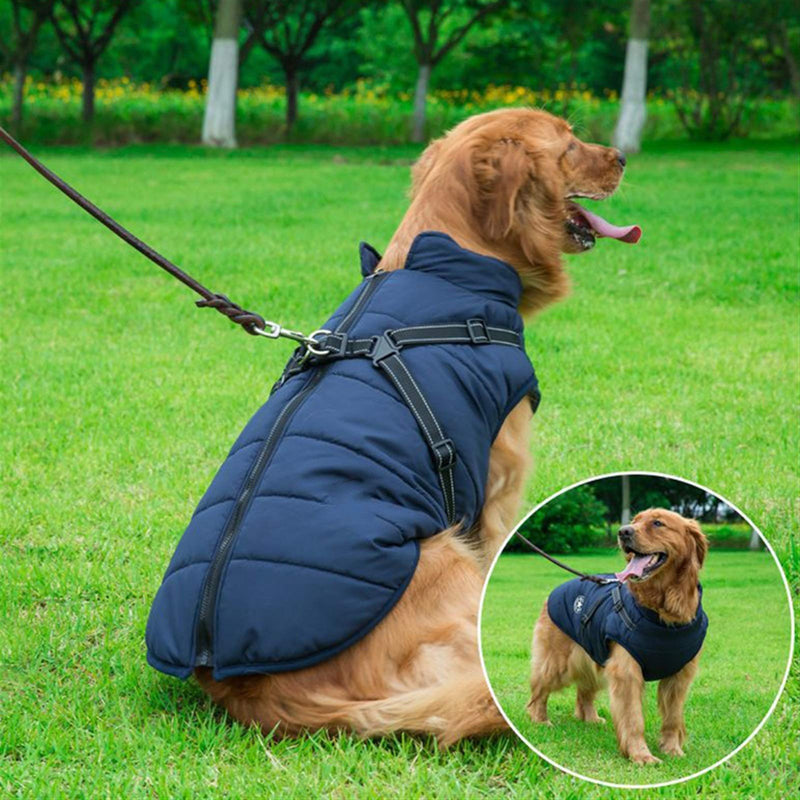 Winter Pet Dog Jacket With Harness