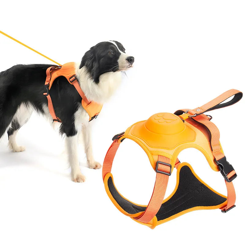 Retractable Dog Leash with Harness