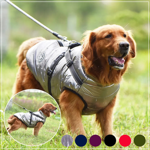 Winter Pet Dog Jacket With Harness