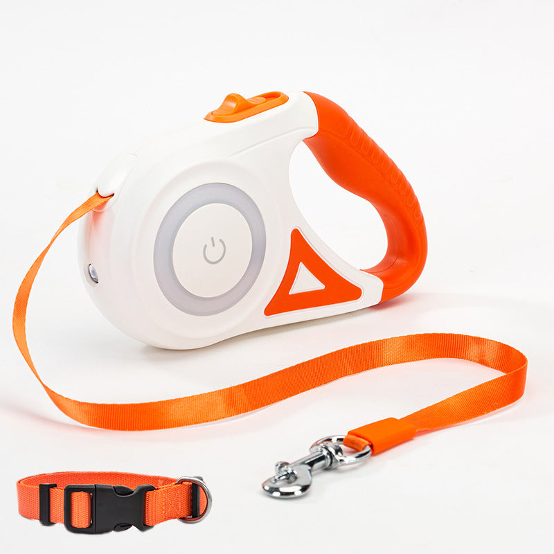 Fantastic Dog Leash With build-in Spotlight For Extra Safely